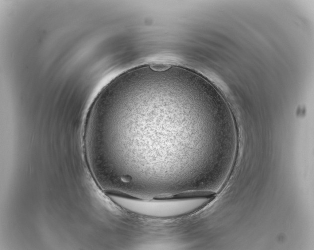 X0000094231248200711021155