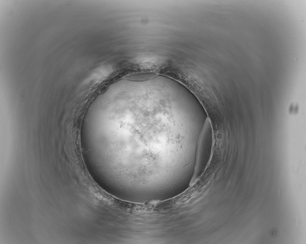 X0000094231249200711021154