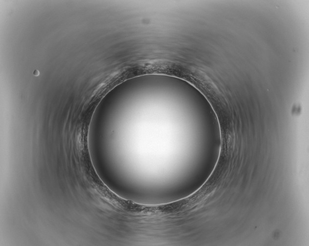 X0000094231250200711021154