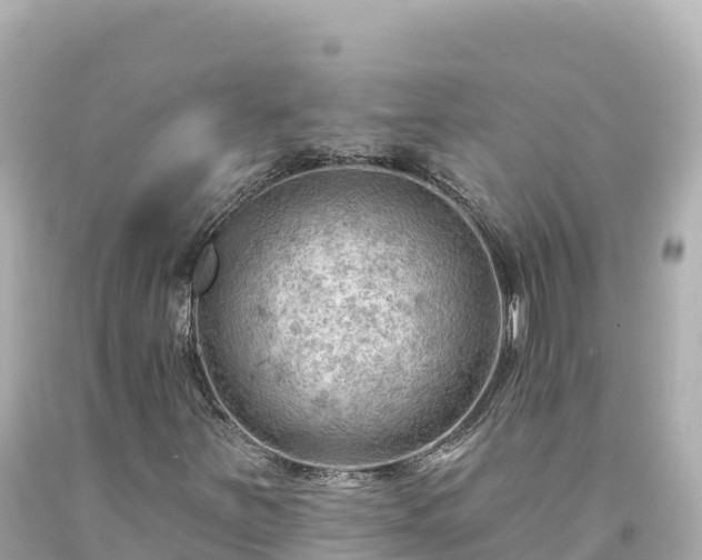 X0000094231251200711021154