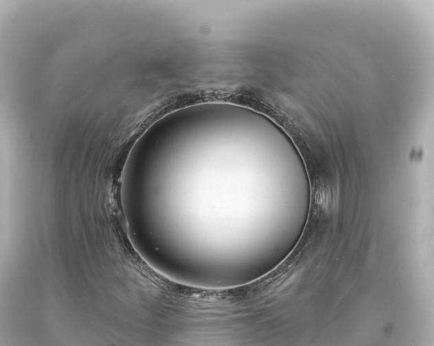 X0000094231252200711021154