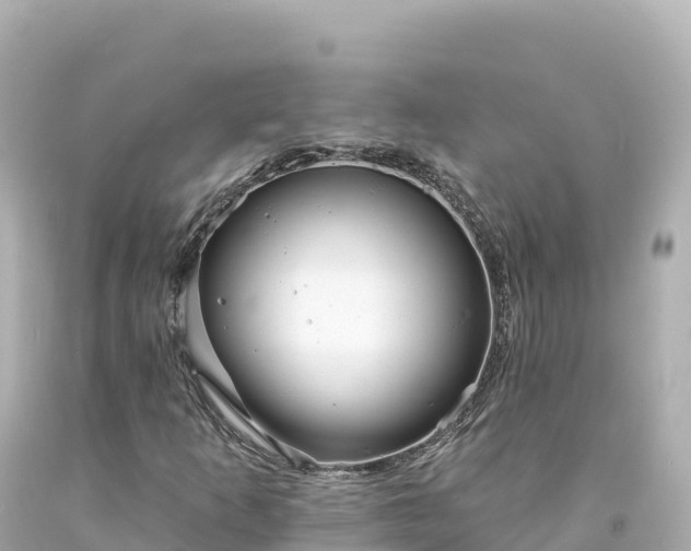 X0000094231253200711021154