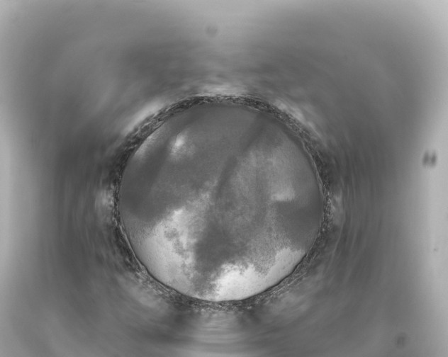 X0000094231254200711021154