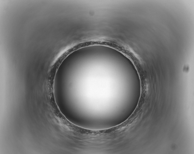 X0000094231256200711021154