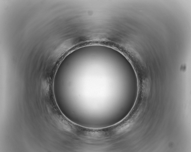 X0000094231257200711021154