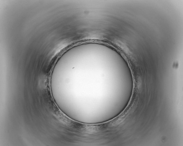 X0000094231258200711021154