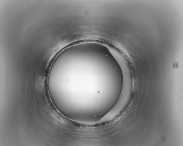 X0000094231260200711021154