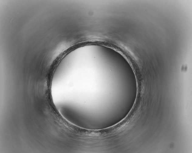 X0000094231261200711021154