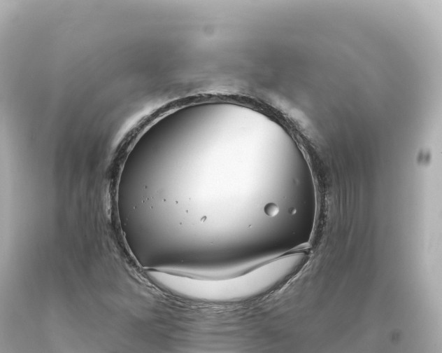 X0000094231262200711021154