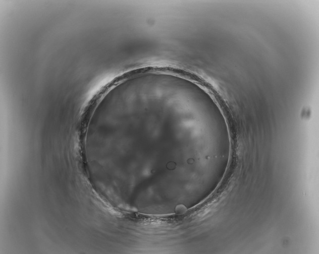 X0000094231263200711021154