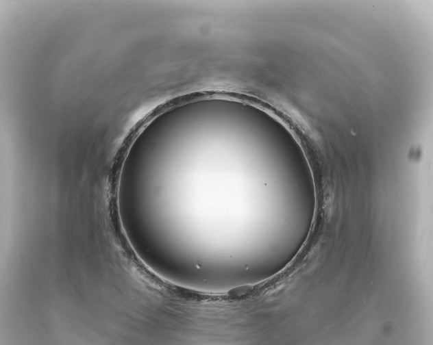 X0000094231264200711021154