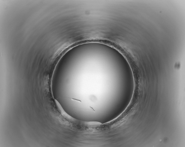 X0000094231265200711021154