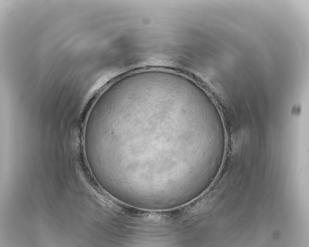 X0000094231266200711021154