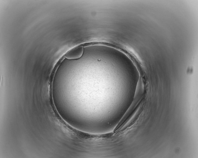 X0000094231268200711021154