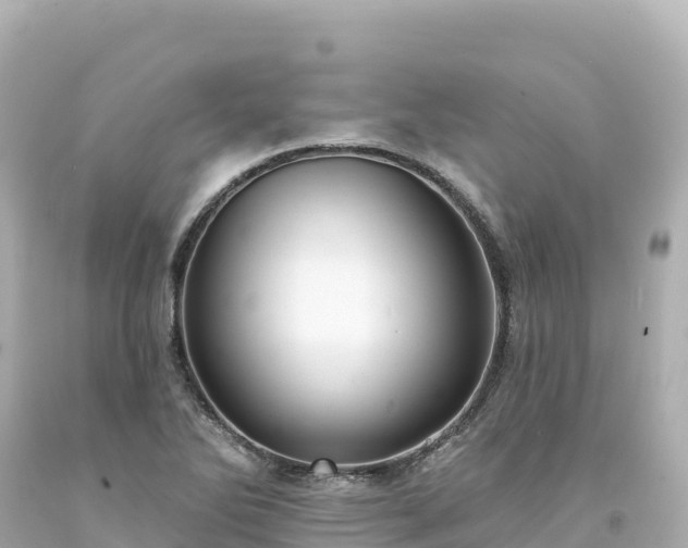 X0000094231270200711021154