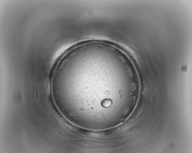 X0000094231271200711021154