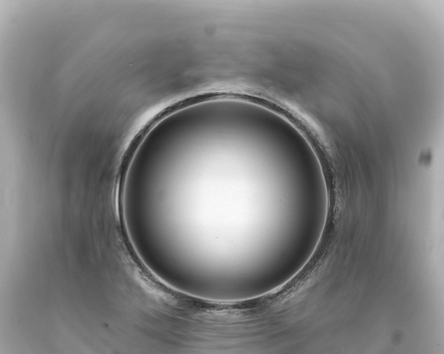 X0000094231272200711021154