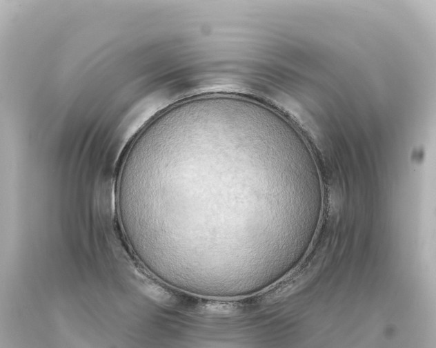 X0000094231274200711021154