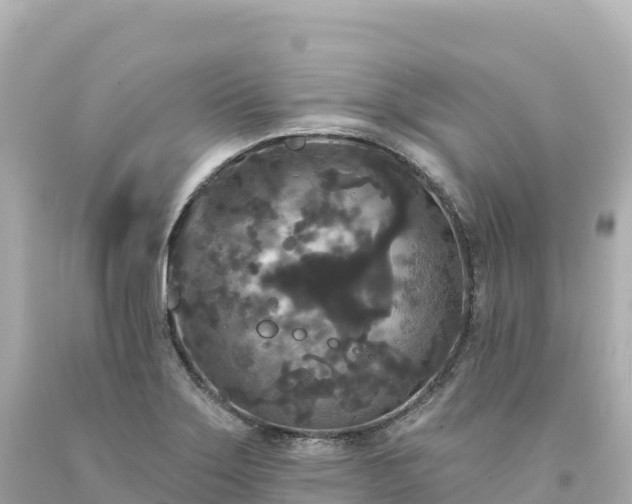 X0000094231275200711021154