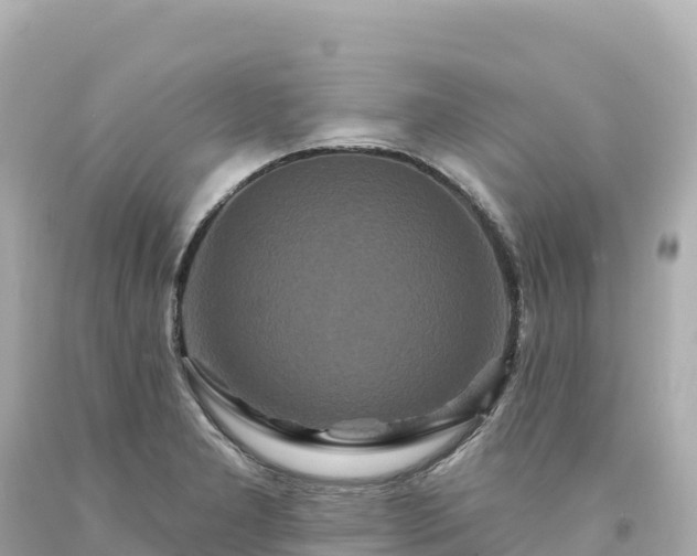 X0000094231277200711021154