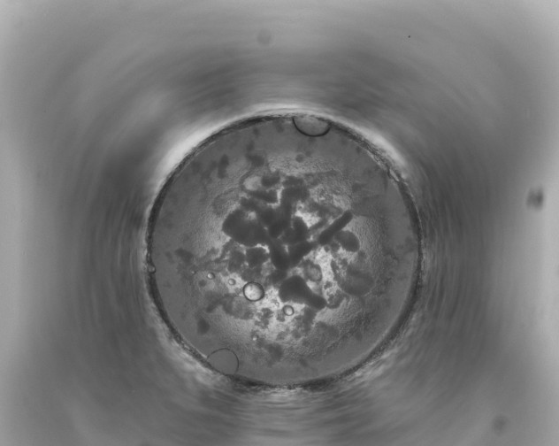 X0000094231279200711021154