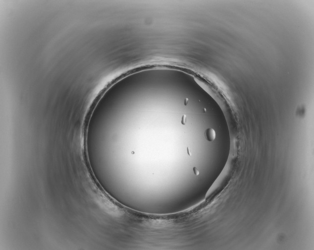 X0000094231280200711021154