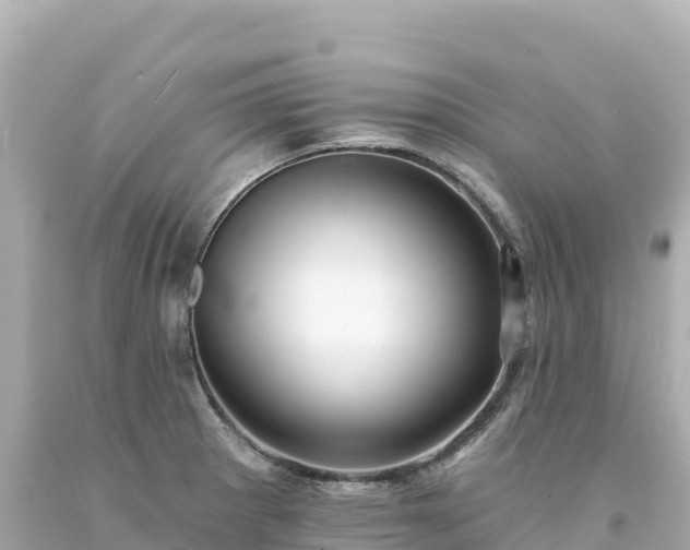 X0000094231281200711021154