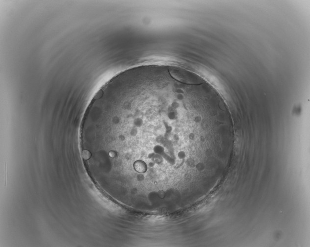 X0000094231283200711021154