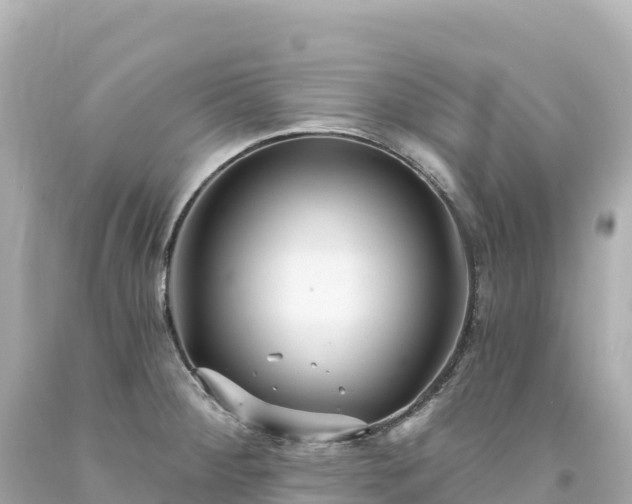 X0000094231284200711021154