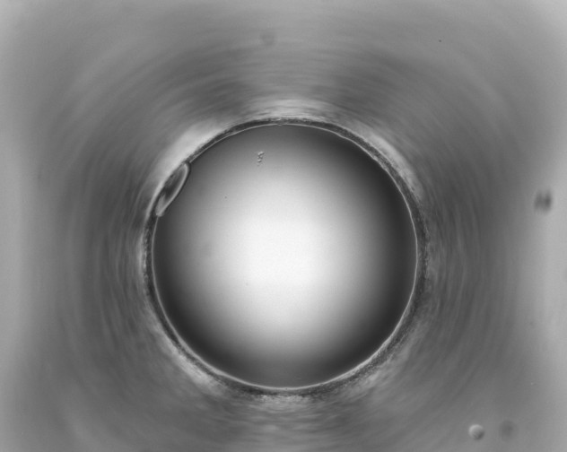 X0000094231285200711021154