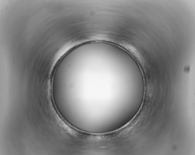 X0000094231286200711021154