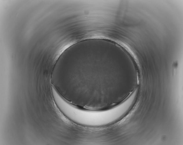 X0000094231289200711021154