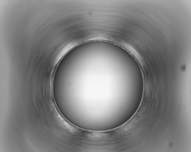 X0000094231290200711021154