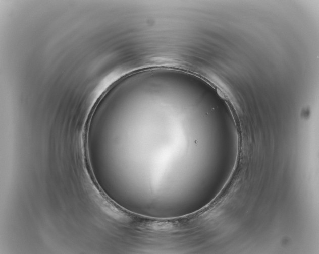 X0000094231291200711021154