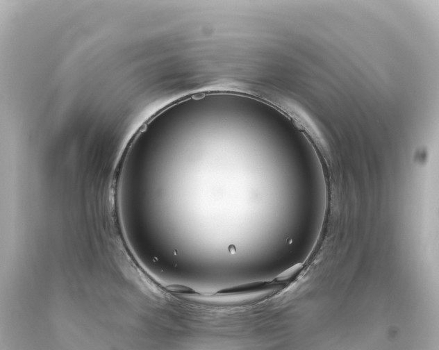 X0000094231292200711021154