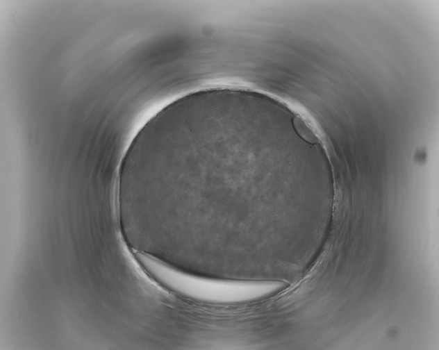 X0000094231295200711021154