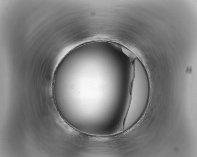 X0000094231296200711021154