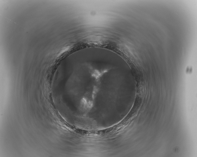 X0000094231297200711021153