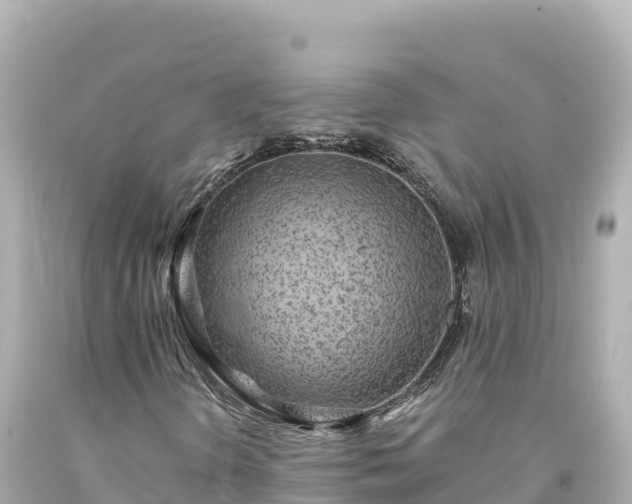 X0000094231298200711021153