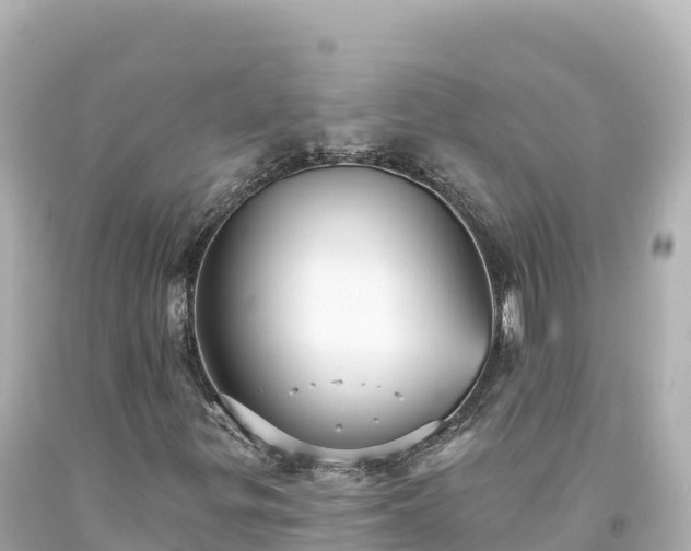 X0000094231299200711021153