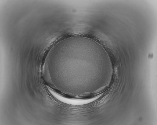 X0000094231300200711021153