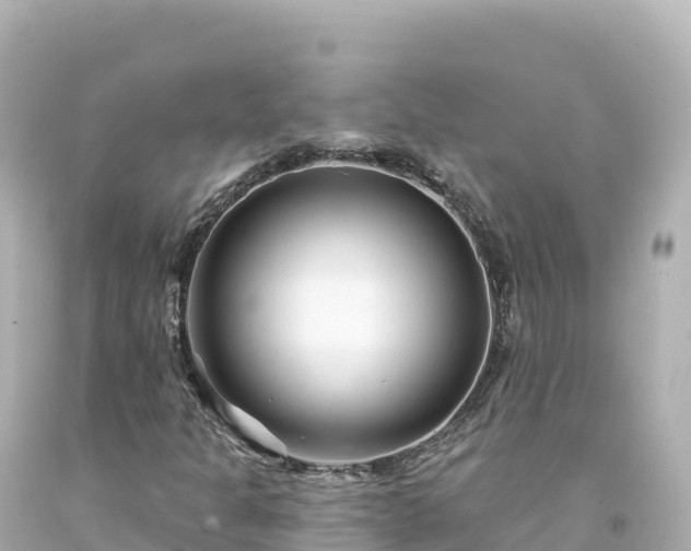 X0000094231301200711021153