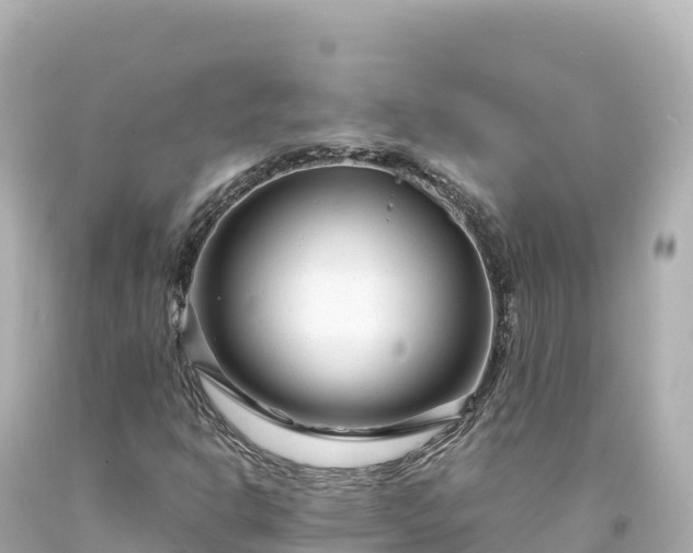 X0000094231302200711021153