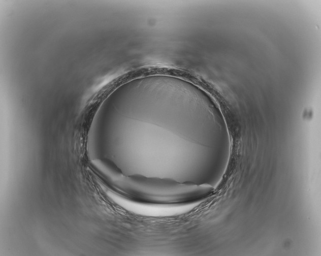 X0000094231303200711021153