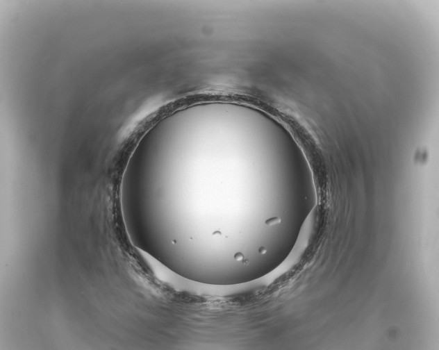 X0000094231304200711021153