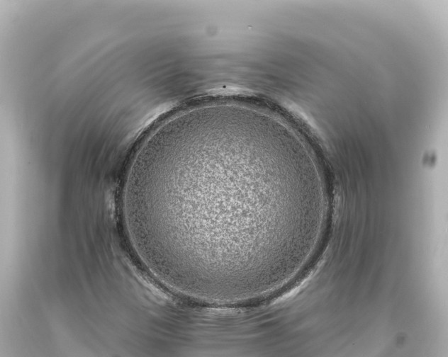 X0000094231305200711021153