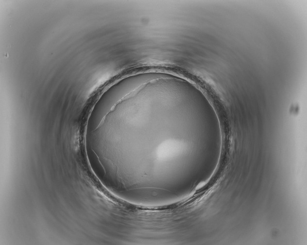 X0000094231306200711021153