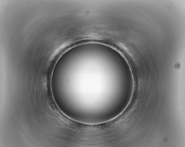 X0000094231307200711021153