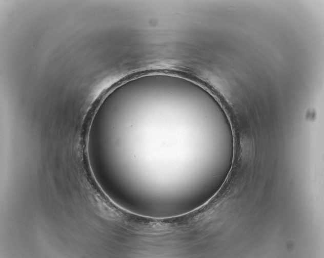 X0000094231308200711021153