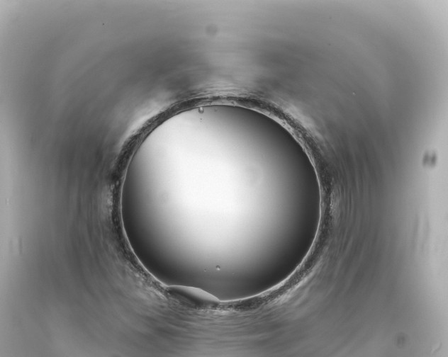 X0000094231309200711021153